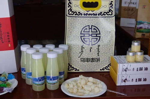樂享鄂爾多斯｜8月21日，來烏審旗撒歡兒，用農副產品零食治愈你的味蕾