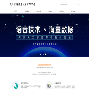 武汉莱博信息技术有限公司