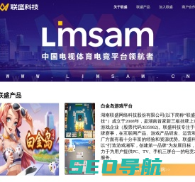湖南联盛网络科技股份有限公司